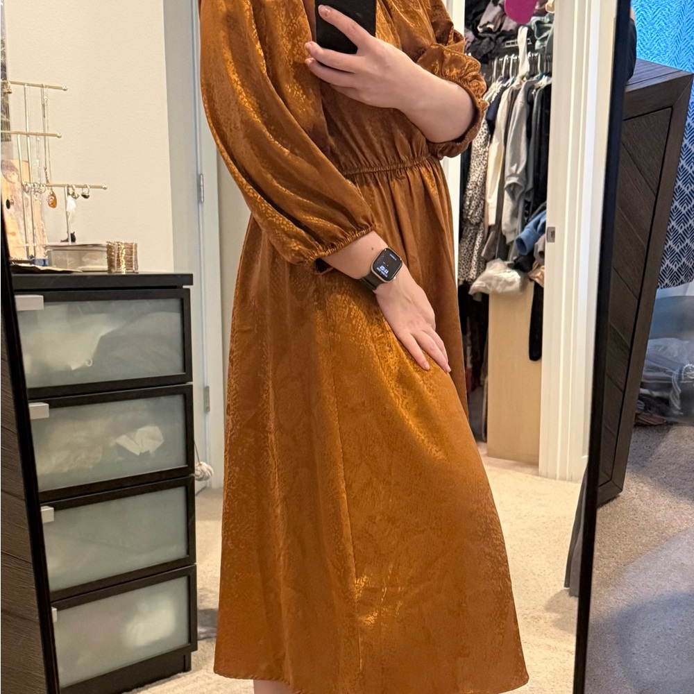 Sandra Darren Rust Textured Midi Dress with Balloon Sleeves